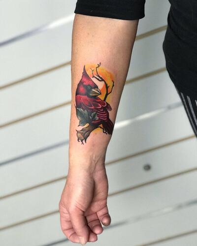 Tatu studіya VeAn
