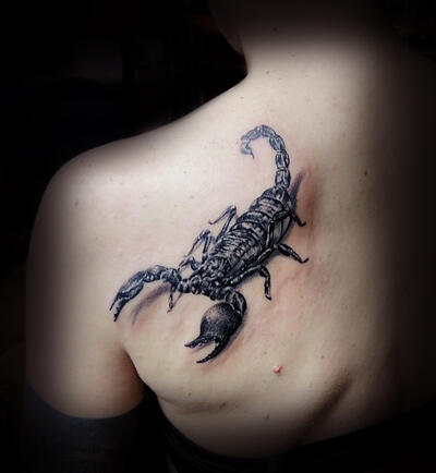 Skorpion