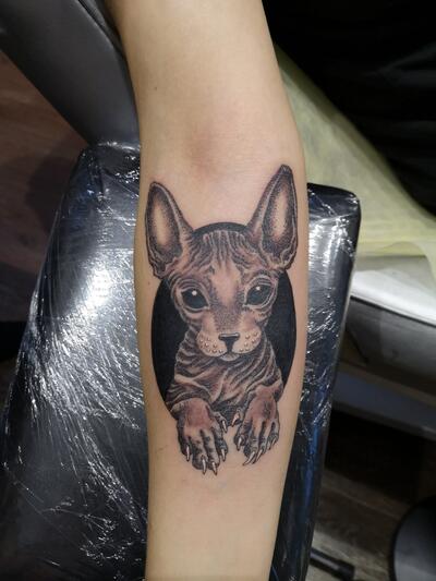 Koshka