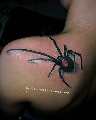 spider