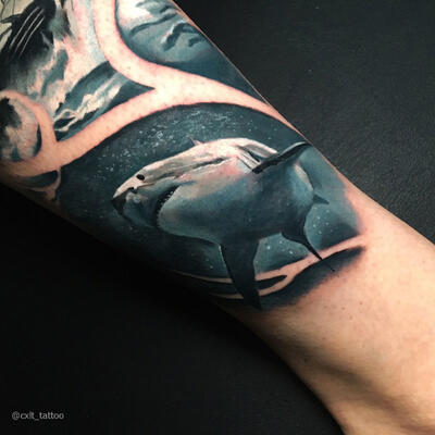 Aleksey Colt | Shark