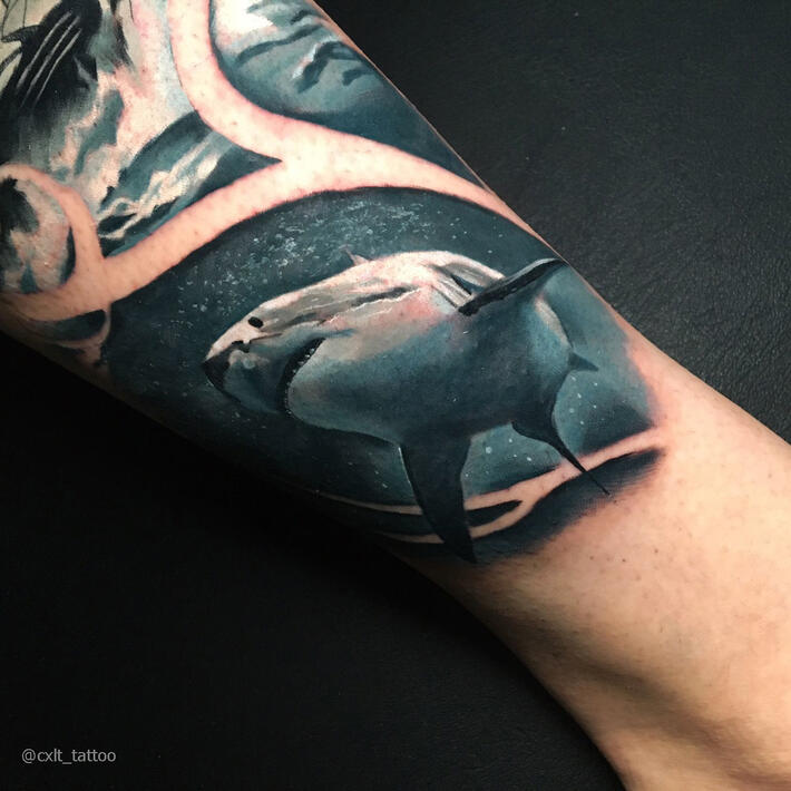 Фото тату Aleksey Colt | Shark