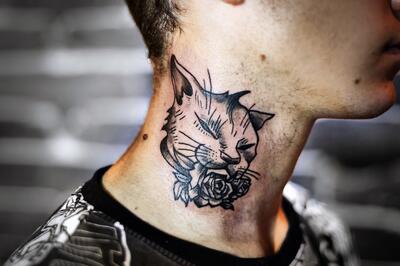 cat on the neck