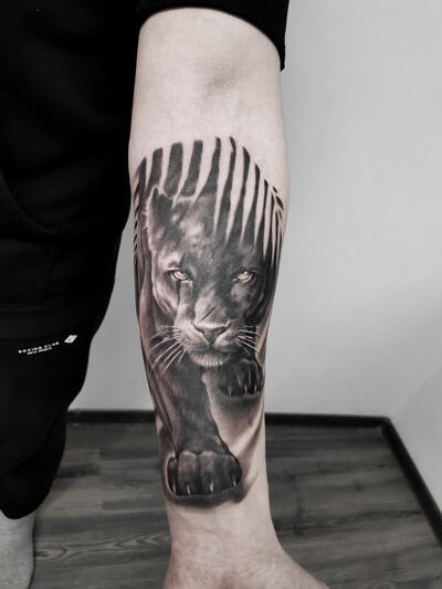 Pantera