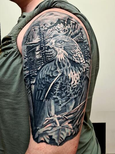 Sokol (cover up)