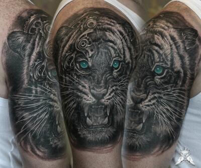 Tigr 