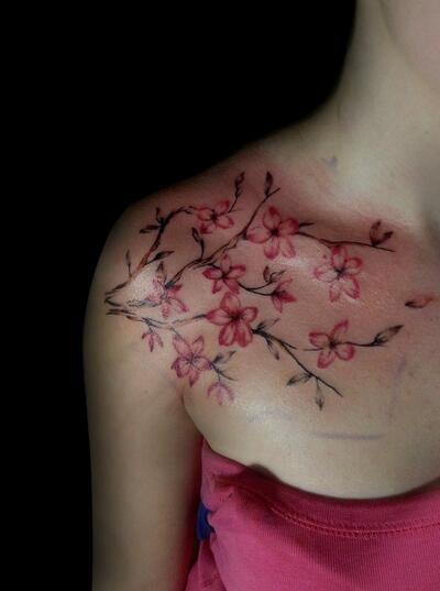Sakura 