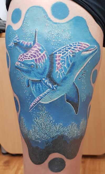 Delfiny