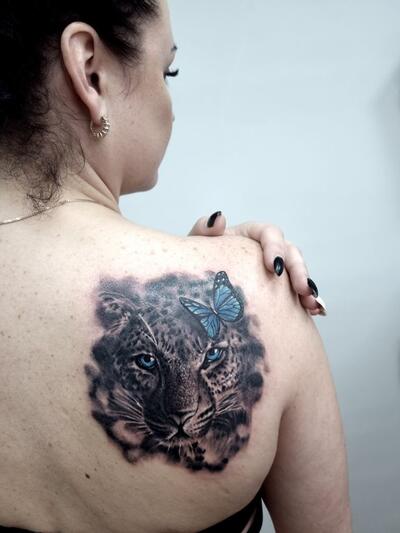 leopard