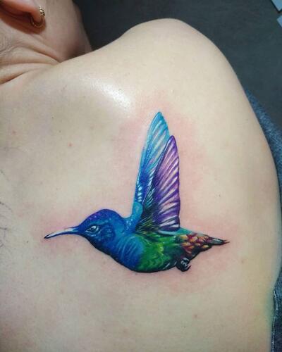 Kolibri