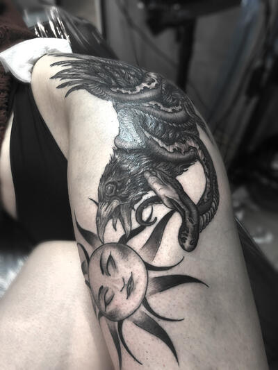 raven