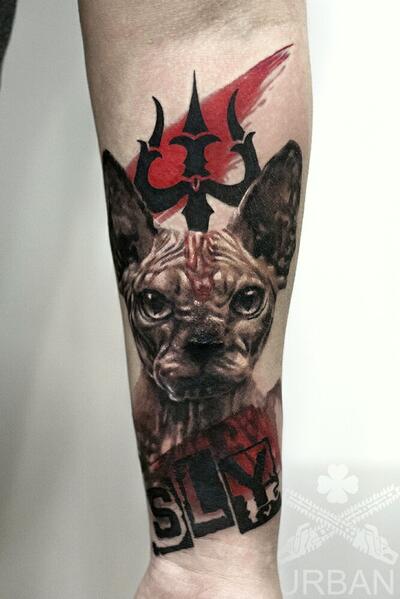 Koshka-sfinks