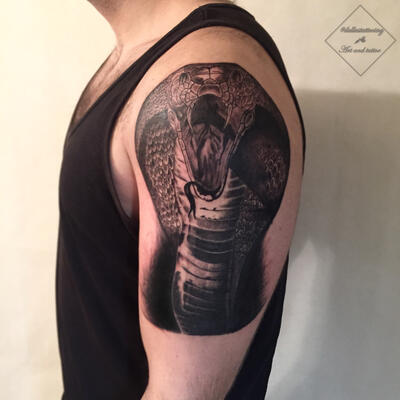 Cobra