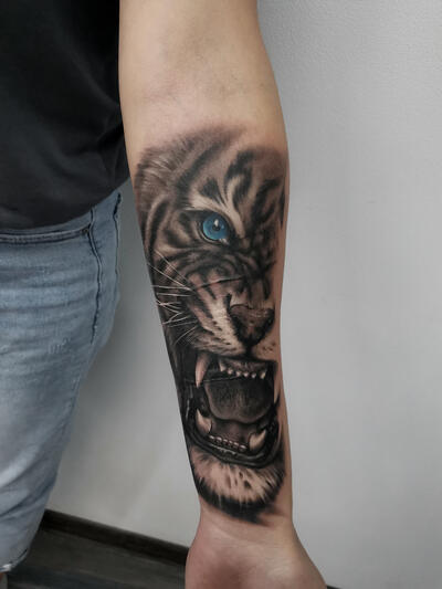 Tigr