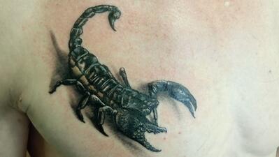Skorpion