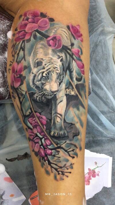 tigr s sakuroy