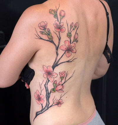 Sakura