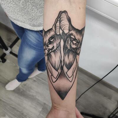 Aleksandr Chekalovec