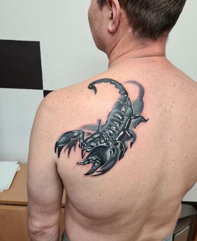 Skorpion (cover up)