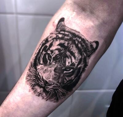 Tigr