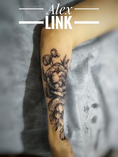 Alex Link