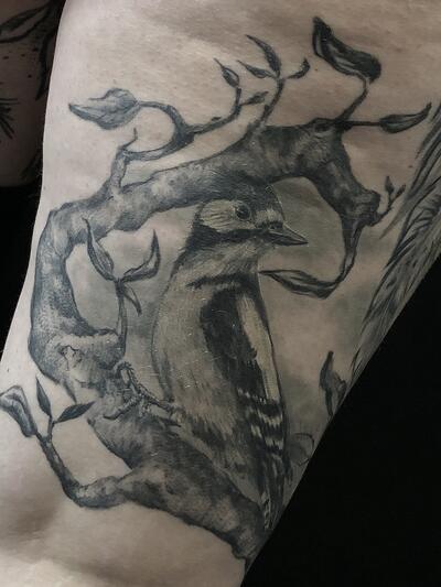 bird