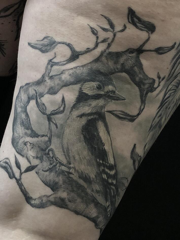 Фото тату bird