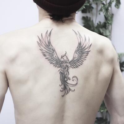 Tatu feniks na spine