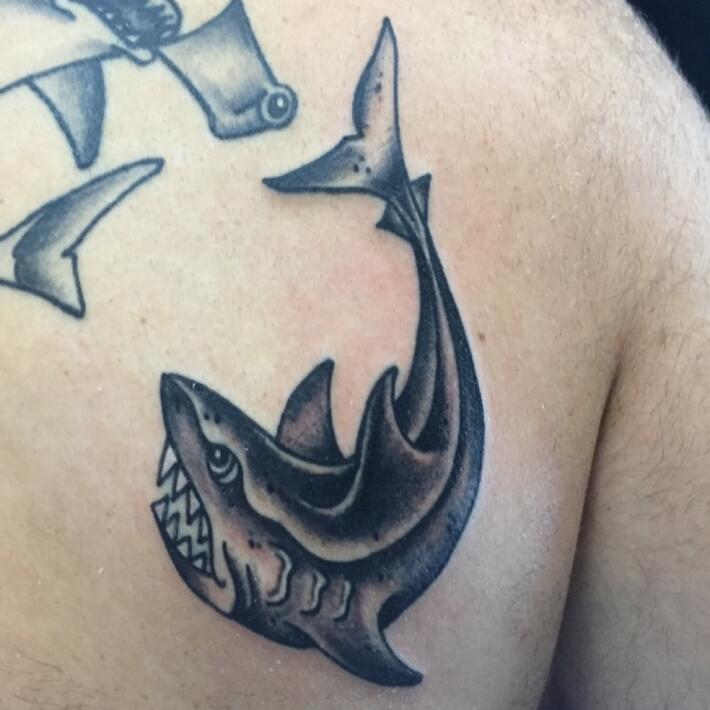  Hammerhead healed a few weeks