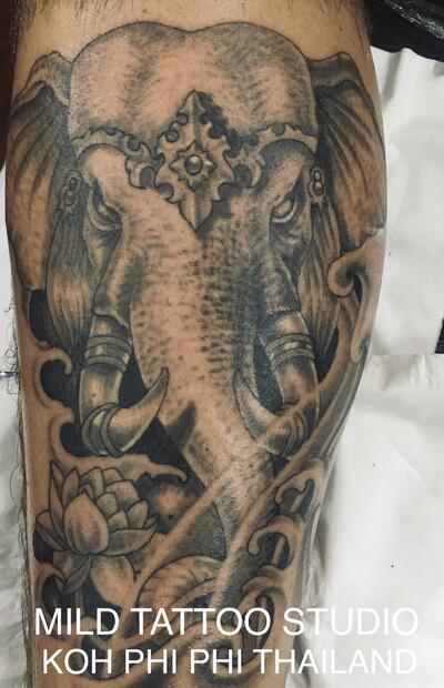 Elephant tattoo bamboo tattoo 