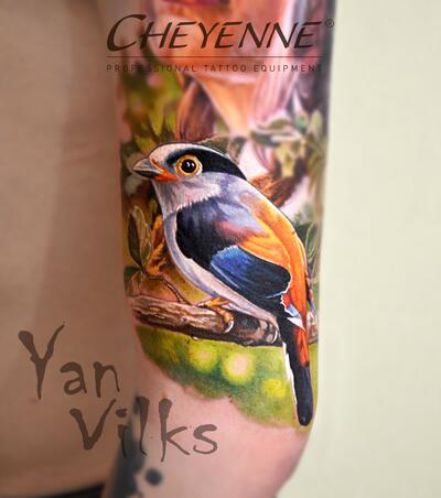 Yan Vilks