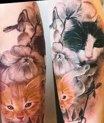 cats