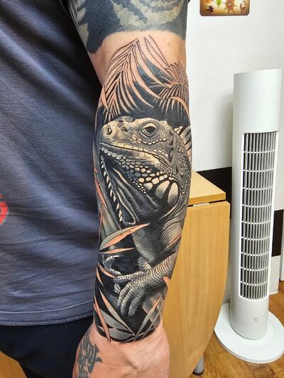 Iguana