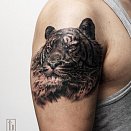 Artem Suhomlinov 2