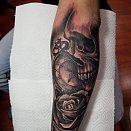 ChEST 3