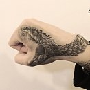 Reptile Family 2