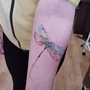 Stanislav Tattoo Studio 3