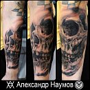Aleksandr Naumov 2