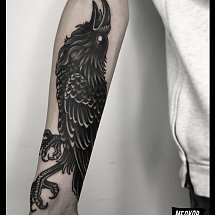 Kirill Medkov 1