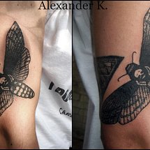 Aleksandr Alekseevich 1