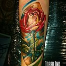 Denis Sokolov 2