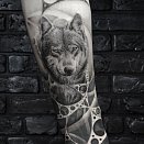 KASTA 3