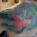 TATTOOME 2