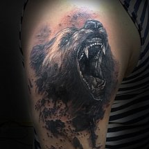 Shaman 1