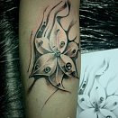 Denis Mahin 2