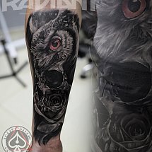Dmitry Mart 1