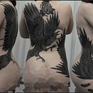 Tatu 3000 2