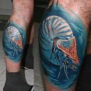 Igor Tatuerovschik 3