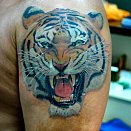Pavel Stepanov 2