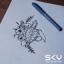Sky 1